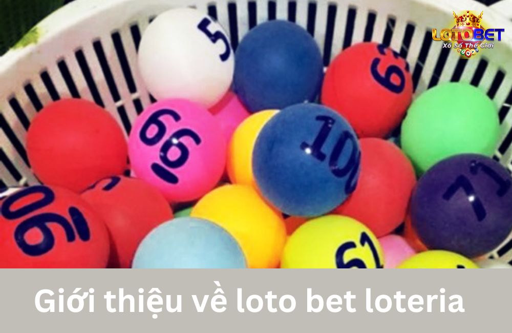 Giới thiệu về loto bet loteria