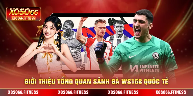Giới thiệu tổng quan sảnh gà WS168 quốc tế