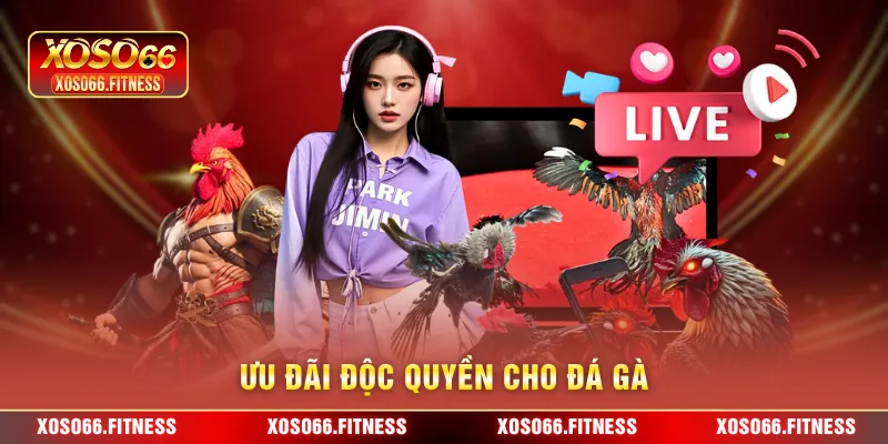 Ưu đãi độc quyền cho Đá Gà